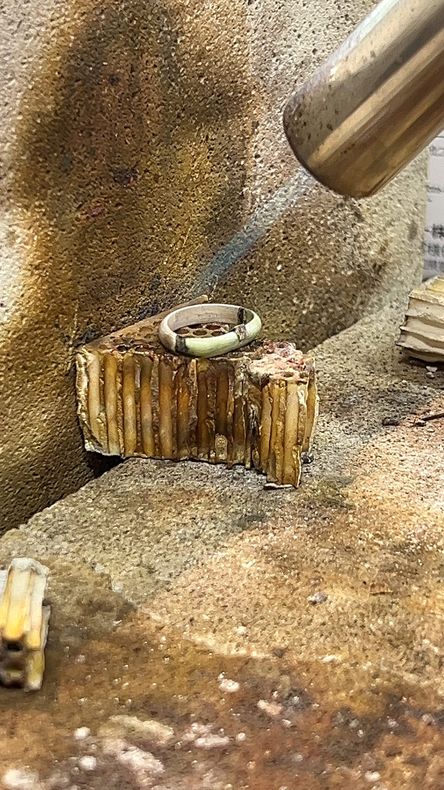 白浜でダブルデートができる体験のおすすめ